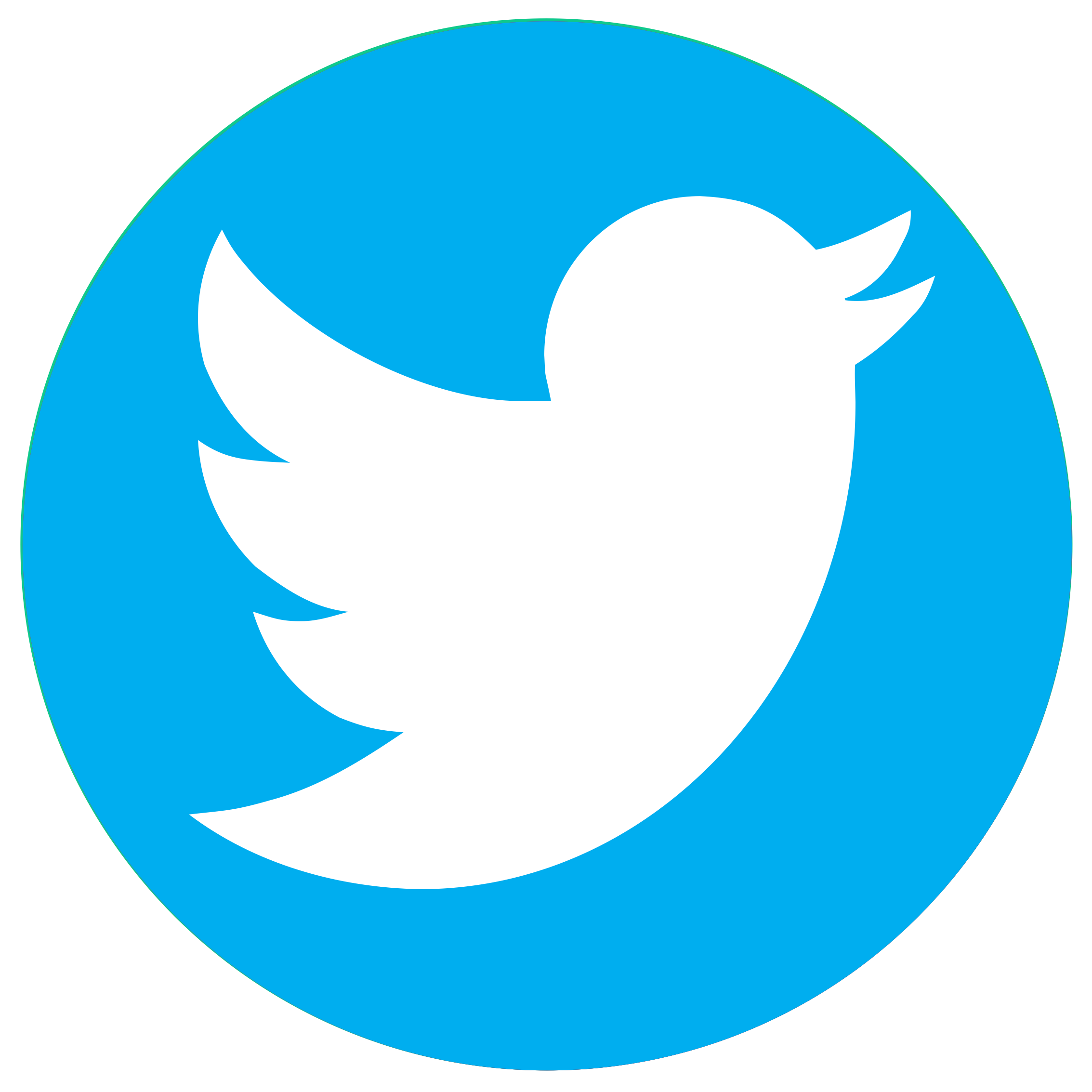 twitter icone